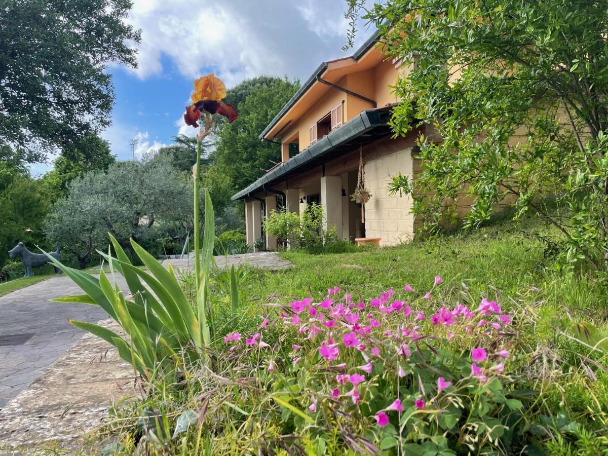 Botanea Guest House Fonte Nuova Kültér fotó